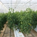 보성군쓰레기소각장 이미지