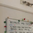 부다랑 페스트랑 나