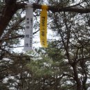 곡성-219 Daum카페