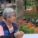 학교면 작은도서관 이미지