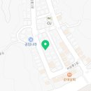 일산고양이분양&미용 반하나캣 이미지