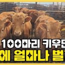 태광농장 이미지