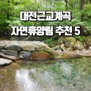 대전근교계곡 물놀이 평상 대여 자연휴양림 추천 5