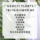 까치플랜츠 | 천안 희귀식물가게 까치플랜츠 방문 후기