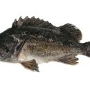 남양주 실내 바다낚시터 이미지