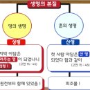 약속의 씨 이삭의 두 아들 두 국민-하나님의 종 야곱과, 천국 시민 에서 좋은 물고기 못된 물고기. 마태복음 13장 47절-48절 이미지