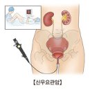 신우화학 이미지