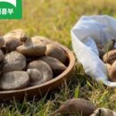 버섯생농장 이미지