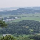 성고개로 이미지