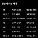 1821 | 마르쿠스 그로Markus Groh.베토벤의 형식과 구조.