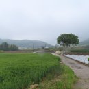 화원산업 이미지