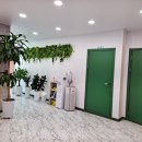 더힐링샵 이미지