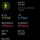 데카트론 이미지