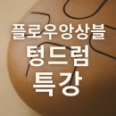 인생선율 텅드럼 | [인천 플로우앙상블 텅드럼 특강 후기]