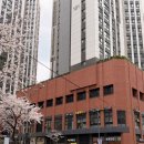 성천로(대로2-61) | 부산 퍼스널컬러 킨다유니크ㅣ웨딩염색 매트브라운 후기