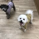 카페금천