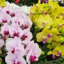 막실농장 이미지