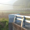 대주2농장 이미지