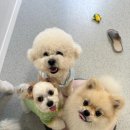 여주유치원 이미지