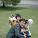 면상