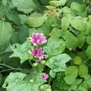 천주경로당 이미지