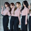 핑크라인 이미지