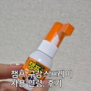 선인약국 | 챔프 구강스프레이 가격, 몇 개월부터 성분 및 효과 수족구 구내염 사용법
