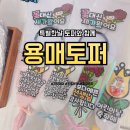 용매토퍼 이미지