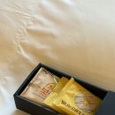 엠버퓨어힐 호텔앤리조트 | 🍊🍊🍊 2박 3일 제주 여행 (3일차: 엠버퓨어힐 호텔앤리조트, 엠버퓨어힐 살레, 서쪽 사진관, 망고홀릭)