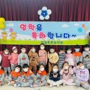 삼일푸른유치원