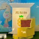 중화항공 전세기 (CI2161-CI2162) 이용 후기