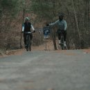 낙동강자전거길4 이미지