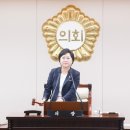 271 이미지