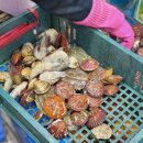 시장수산 - 포항시 북구 대신로26번길 9-6 | 시장수산