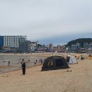 왕산해수욕장 이미지