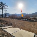 상구농장 티스토리