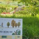 경주펜션 맛집 추천 해피데이 이미지