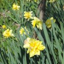 쾌청농장 이미지