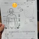 설보비 이미지