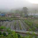 양빵당구캐롬클럽 | 2025년 9월 매일 한 일을 작성하다