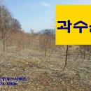 덕산면032 이미지