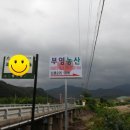 부영농산 네이버블로그