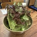 가장맛있는족발안산고잔 | [경기도/안산] 고잔신도시족발 맛집 "팔도만족 고잔점"