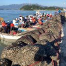 남해-110 이미지