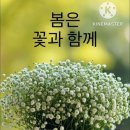 사월 이미지