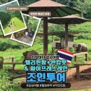 엘리앤몰 | [치앙마이] DAY3 (1) 엘리핀팜 투어, 싸이프레스레인, 반캉왓 with 마이리얼트립