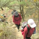 밤골공원 이미지