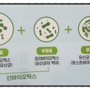 엔티에이치인터내셔널(주)