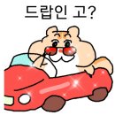 크로스핏고마 이미지