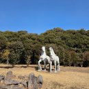 상효원 | “제주 자연 힐링 코스, 상효원 기차 투어와 겨울 정원 이야기”